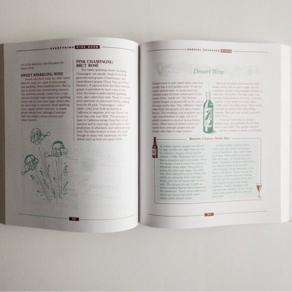 Everything Wine Book By Danny May and Andy Sharp - Picture 2 of 8